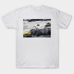 Black-crowned night heron T-Shirt